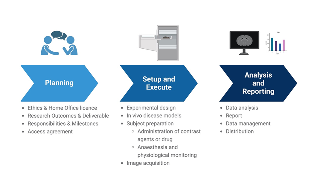 Workflow from Planning to Setup and Execute to Analysis and Reporting