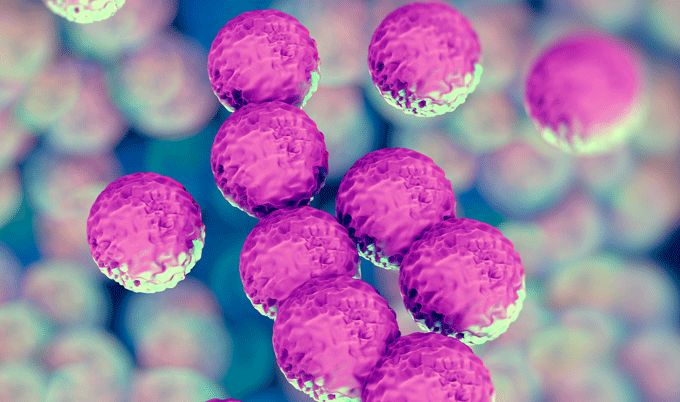 illustration of MRSA bacteria