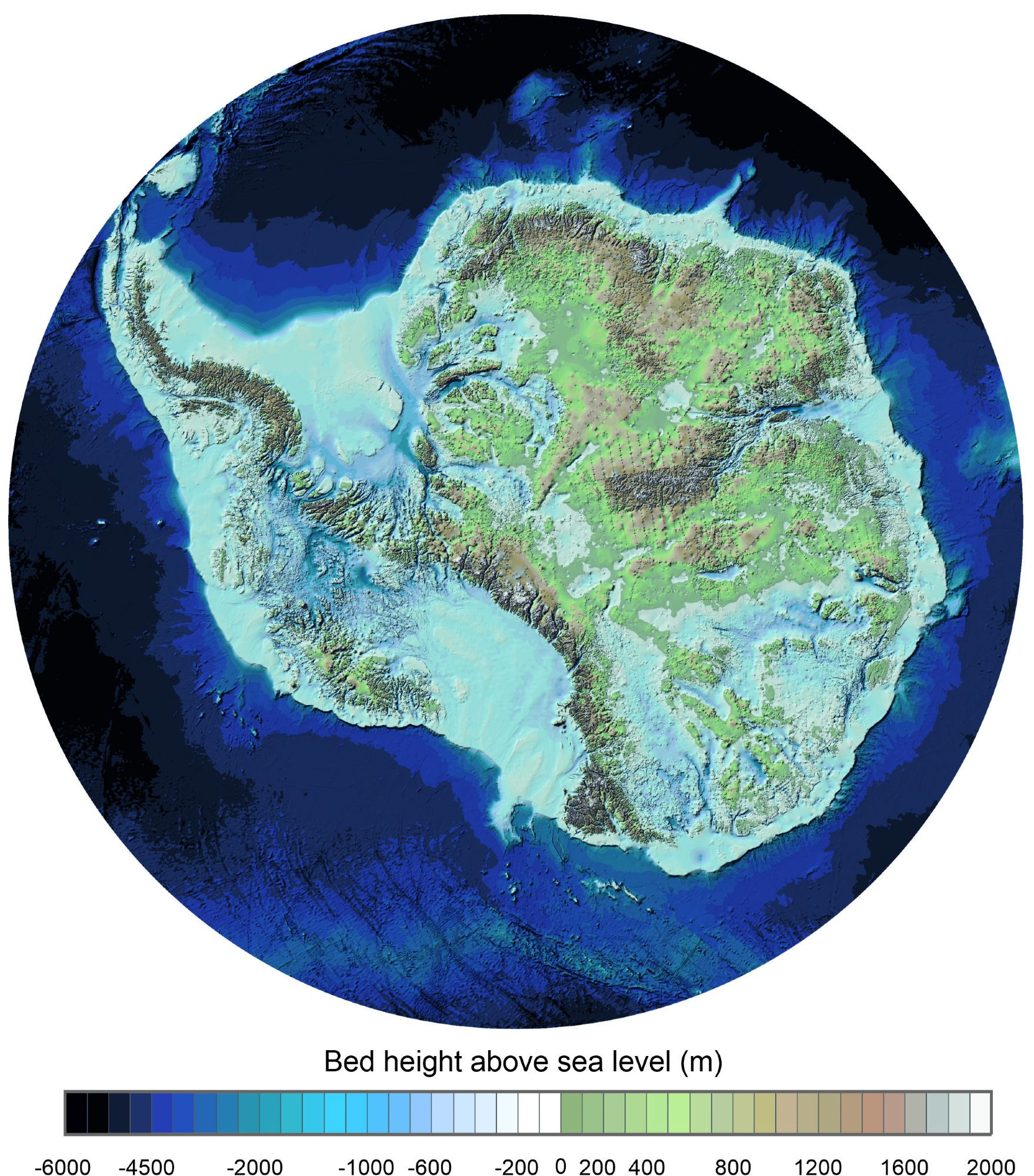 an image of Antarctica without any ice, showing the topography of the bedrock beneath