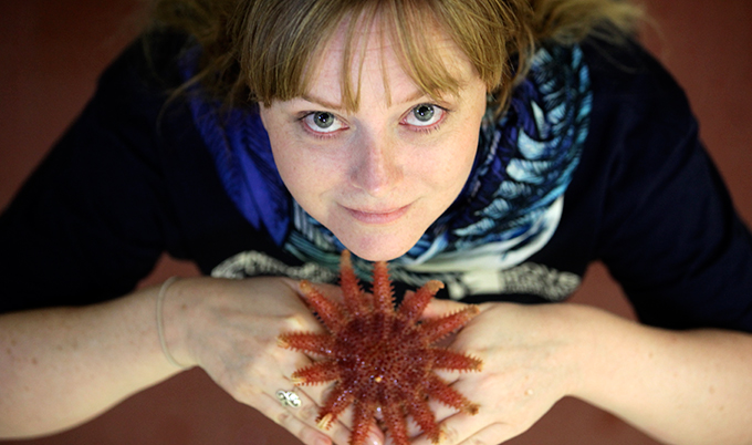 Dr Jacqui Pocklington with a common Sunstar starfish
