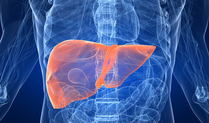 Blood Test To Detect Liver Scarring Press Office Newcastle University