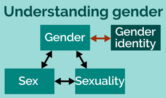 Understanding gender diagram