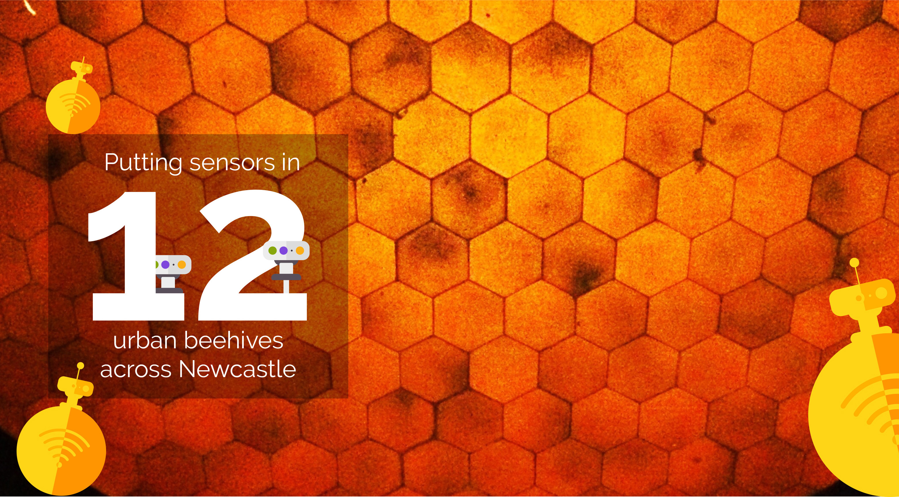 Putting sensors in 12 urban beehives across Newcastle.