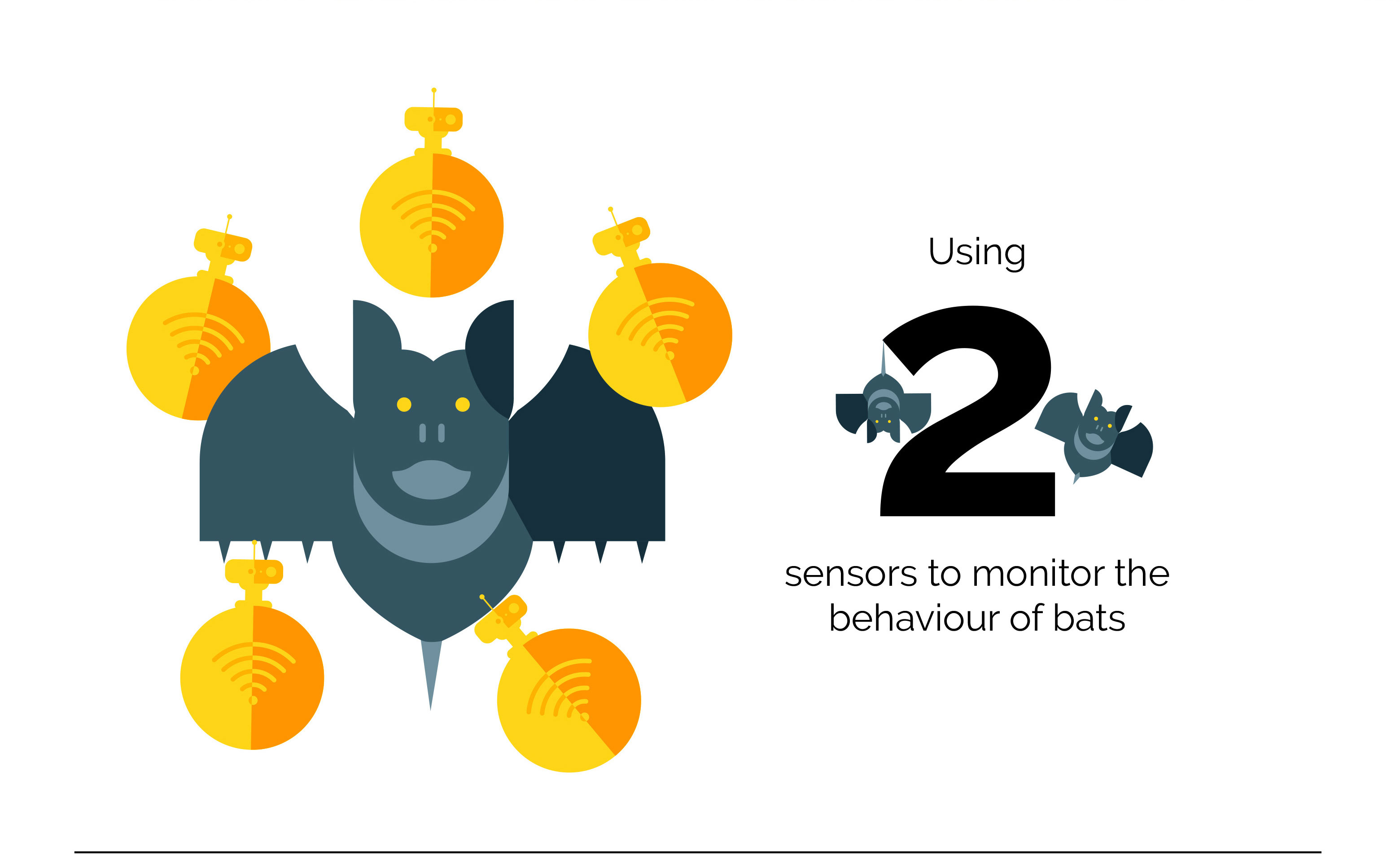 Using 2 sensors to monitor the behaviour of bats.