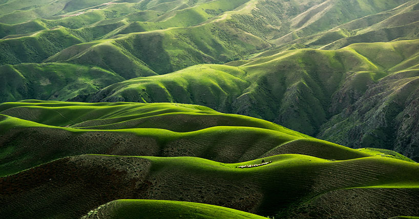 Lush green hills showing farming. 