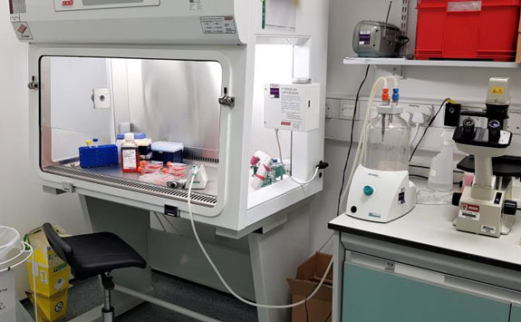 Cell/Tissue Culture Room