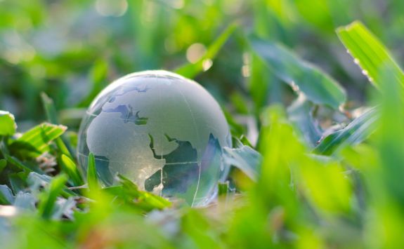 A transparent glass globe resting on lush green grass, symbolizing global environmental sustainability and nature conservation.