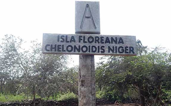 a sign that reads in Spanish 'Isla Floreana Chelenoidis Niger'