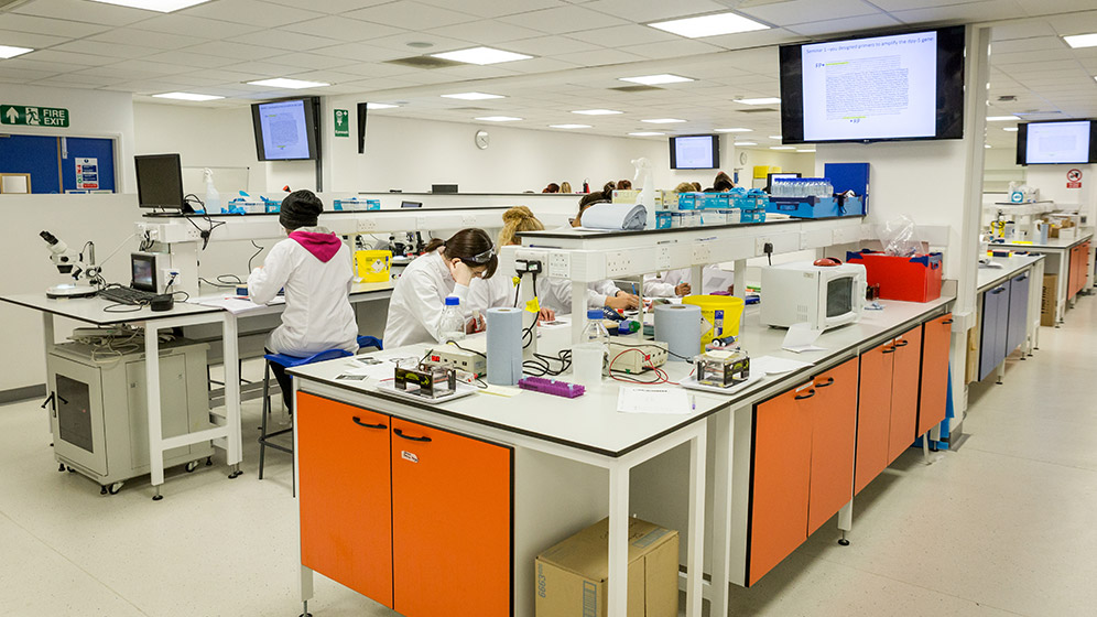 Biomedical and Biomolecular Sciences lab