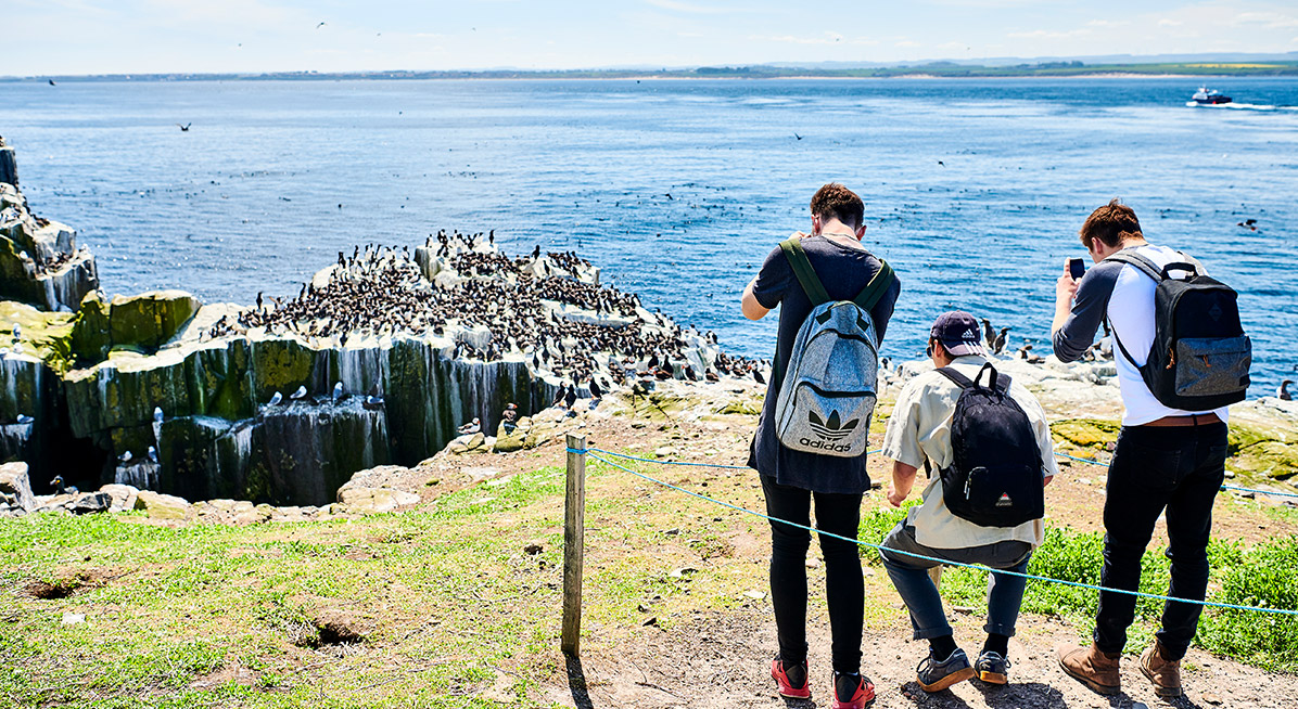 Students photographic marine wildlife