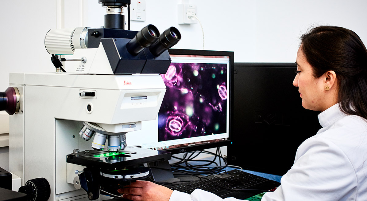 Student using a digital microscope
