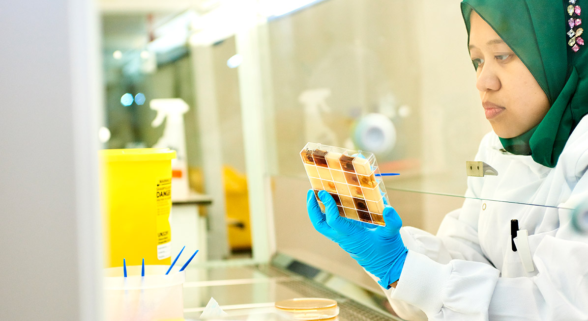 A student working in a lab