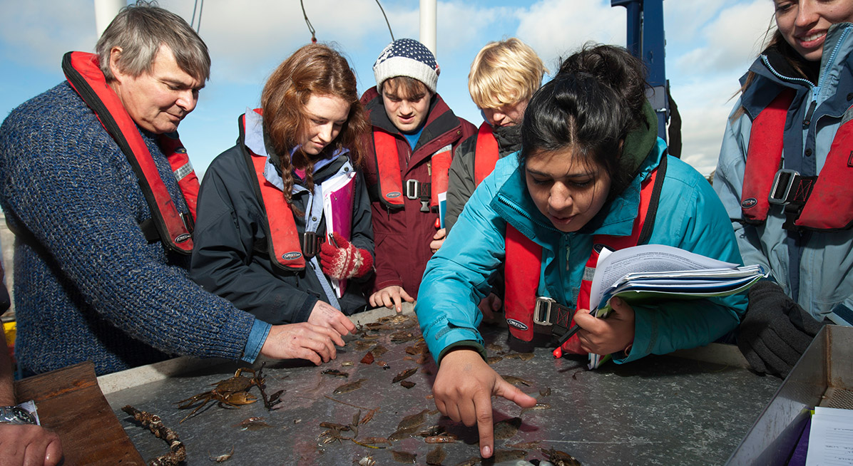 Students on a boat looking at marine wildlife
