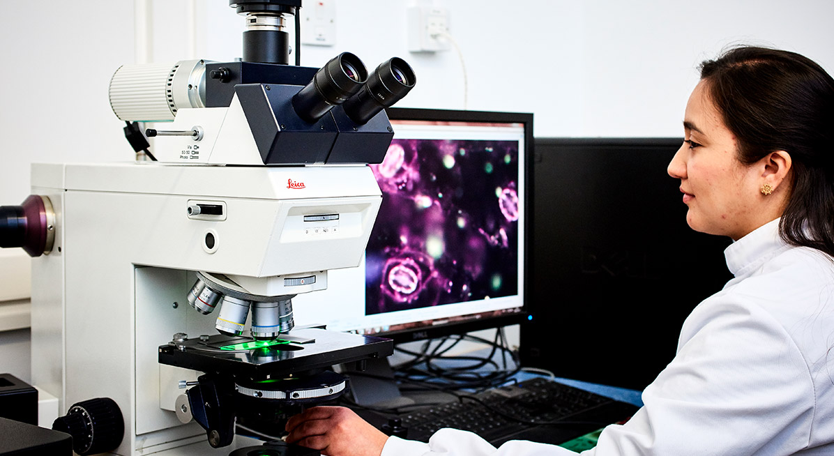 A student working in a lab